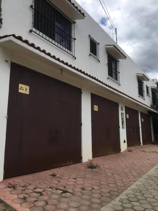 Casa Ocelote Homme Office