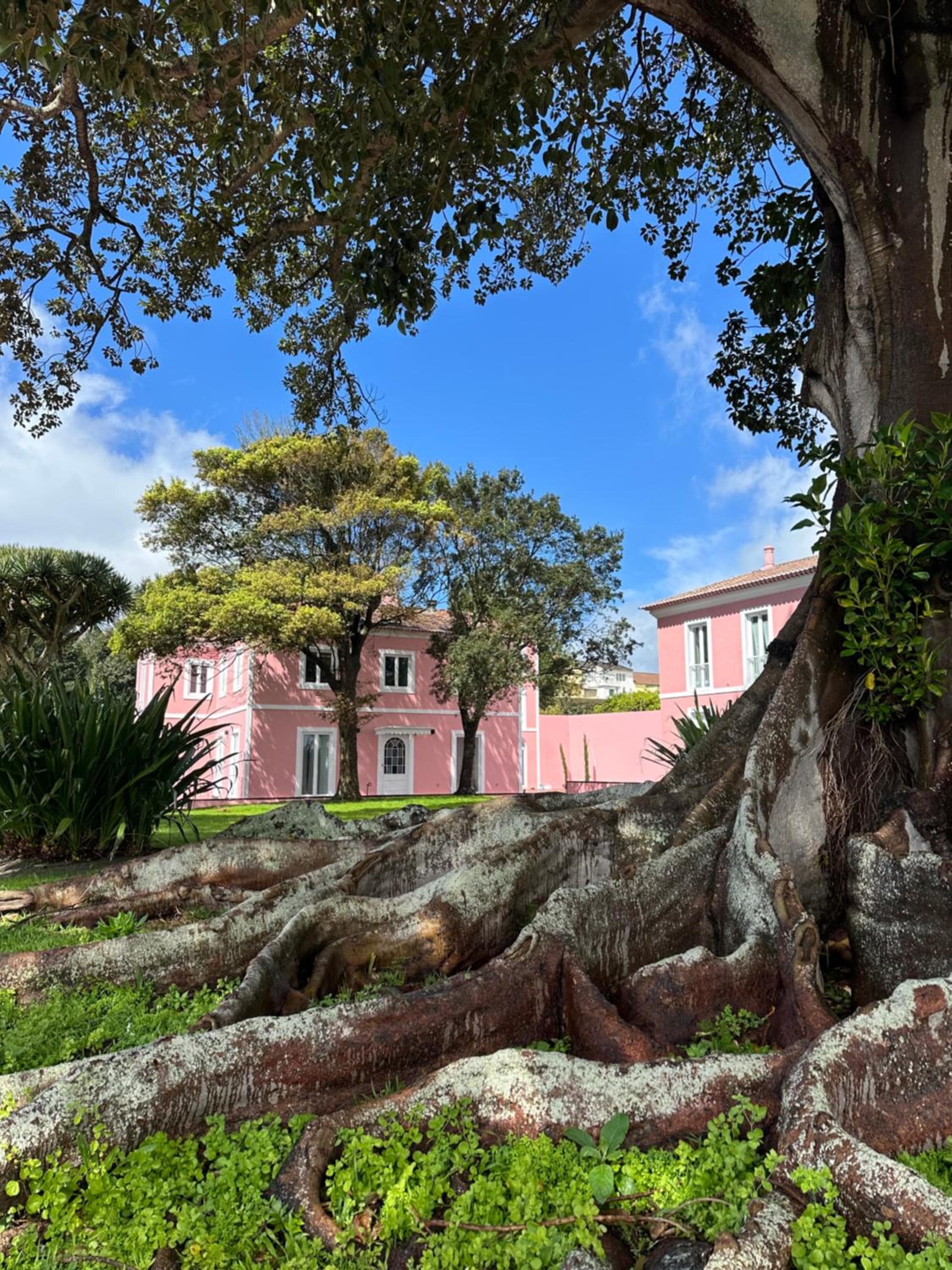 Solar dos Cantos Botanic House & Garden