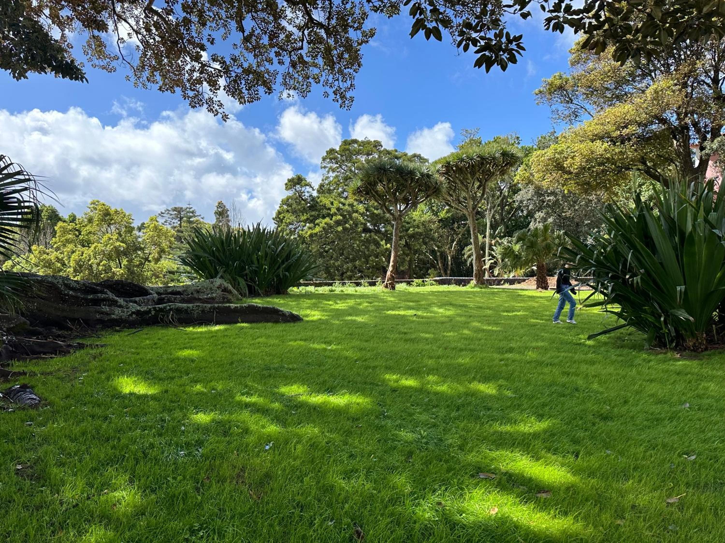 Solar dos Cantos Botanic House & Garden