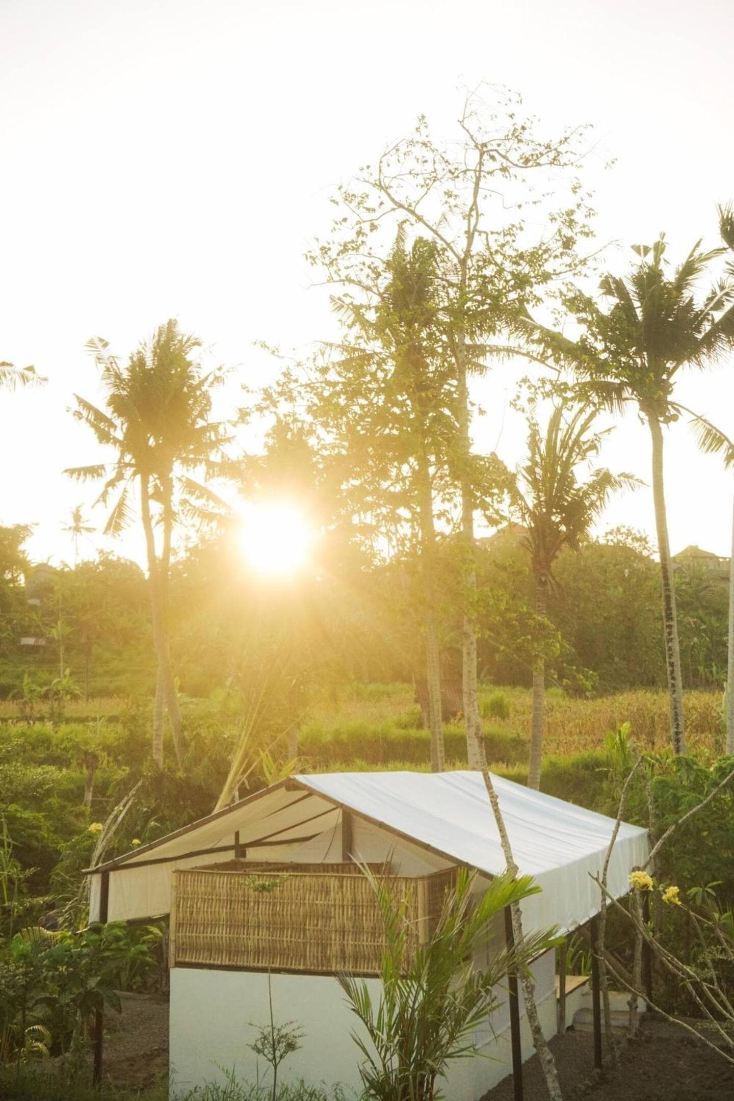 Camani Glamping