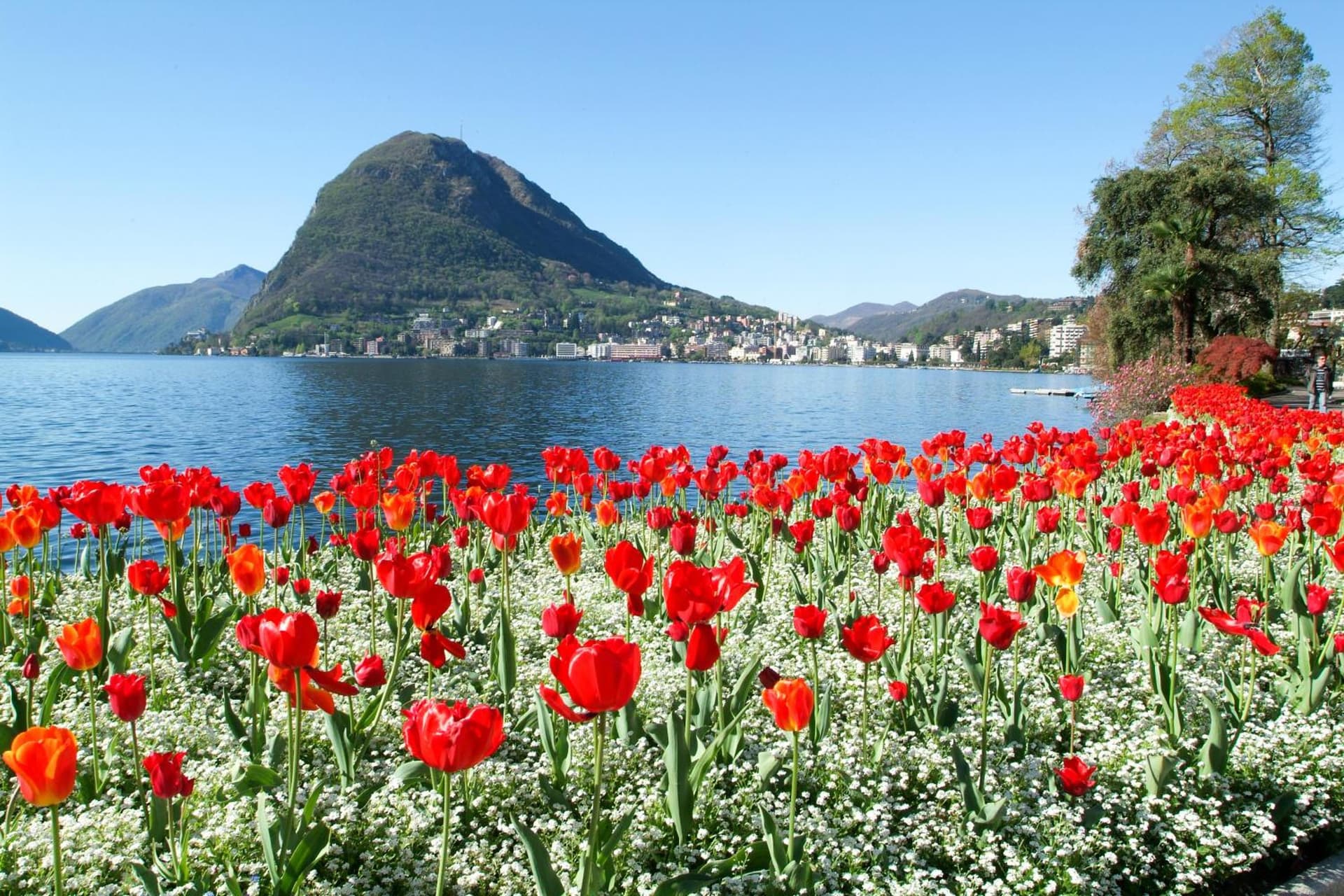 Heart & Love of Lugano