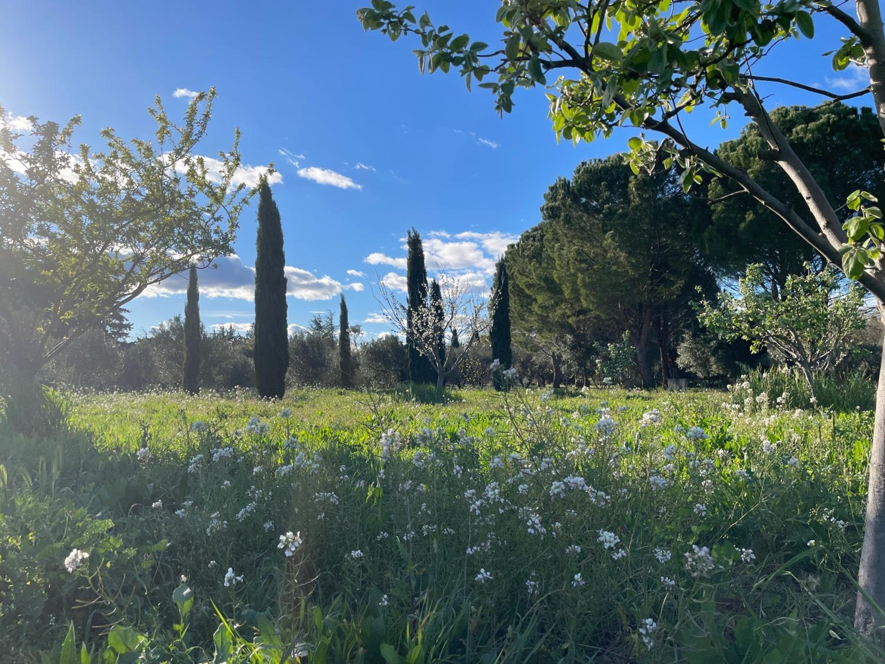 DOMAINE DES CLOS Hôtel et appartements- Teritoria