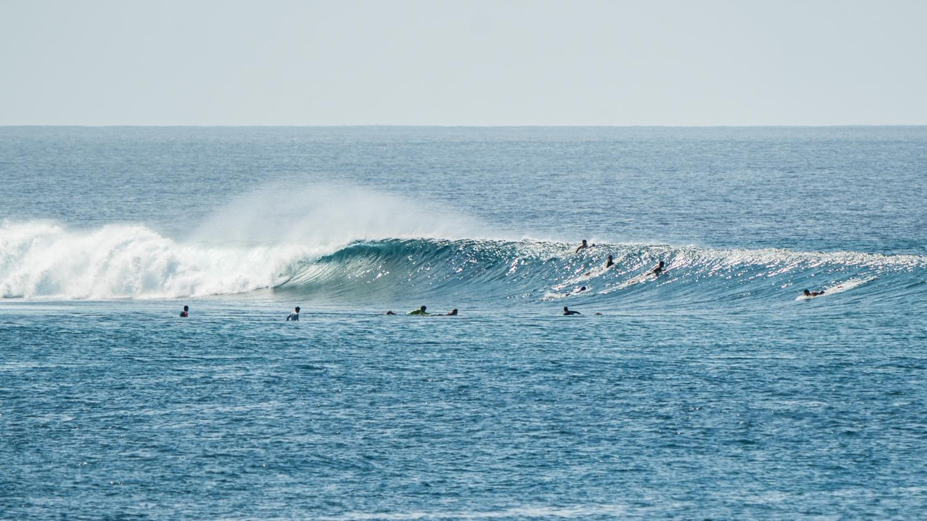 TWIN PALMS 'Surfhouse'