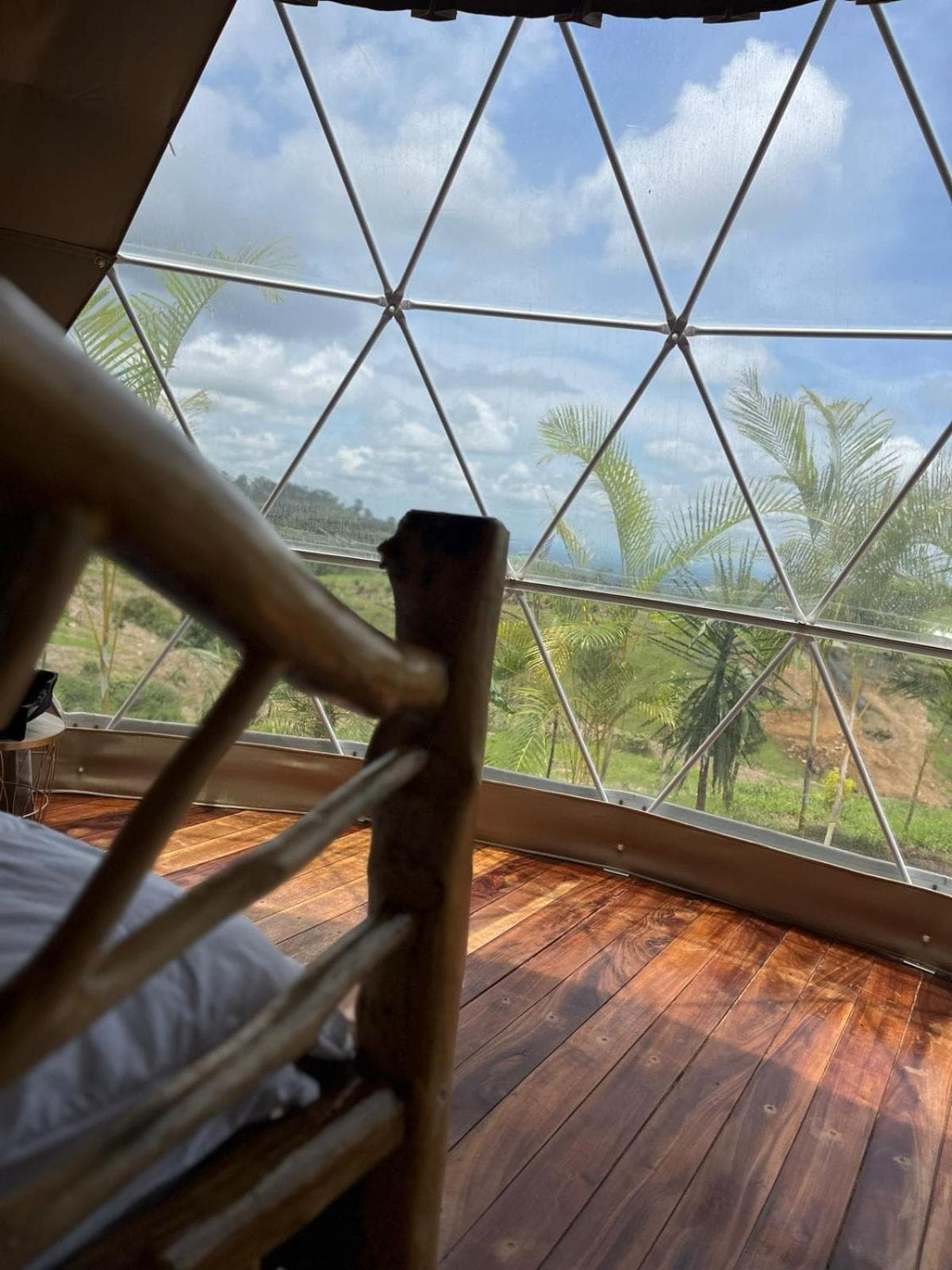 Refugio del Bosque CABAÑAS Y GLAMPING