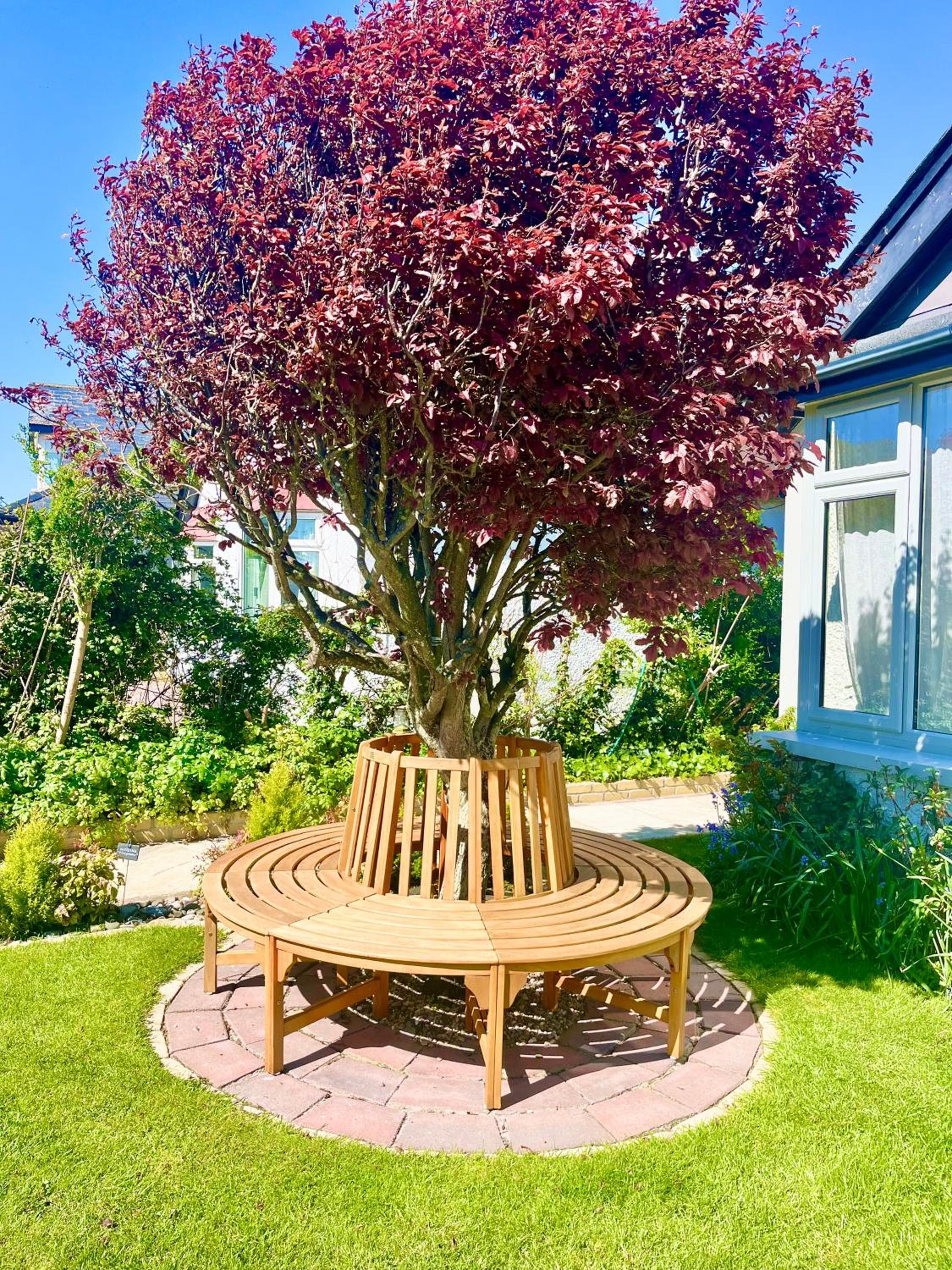 The Artist Residence Dublin Boutique B&B