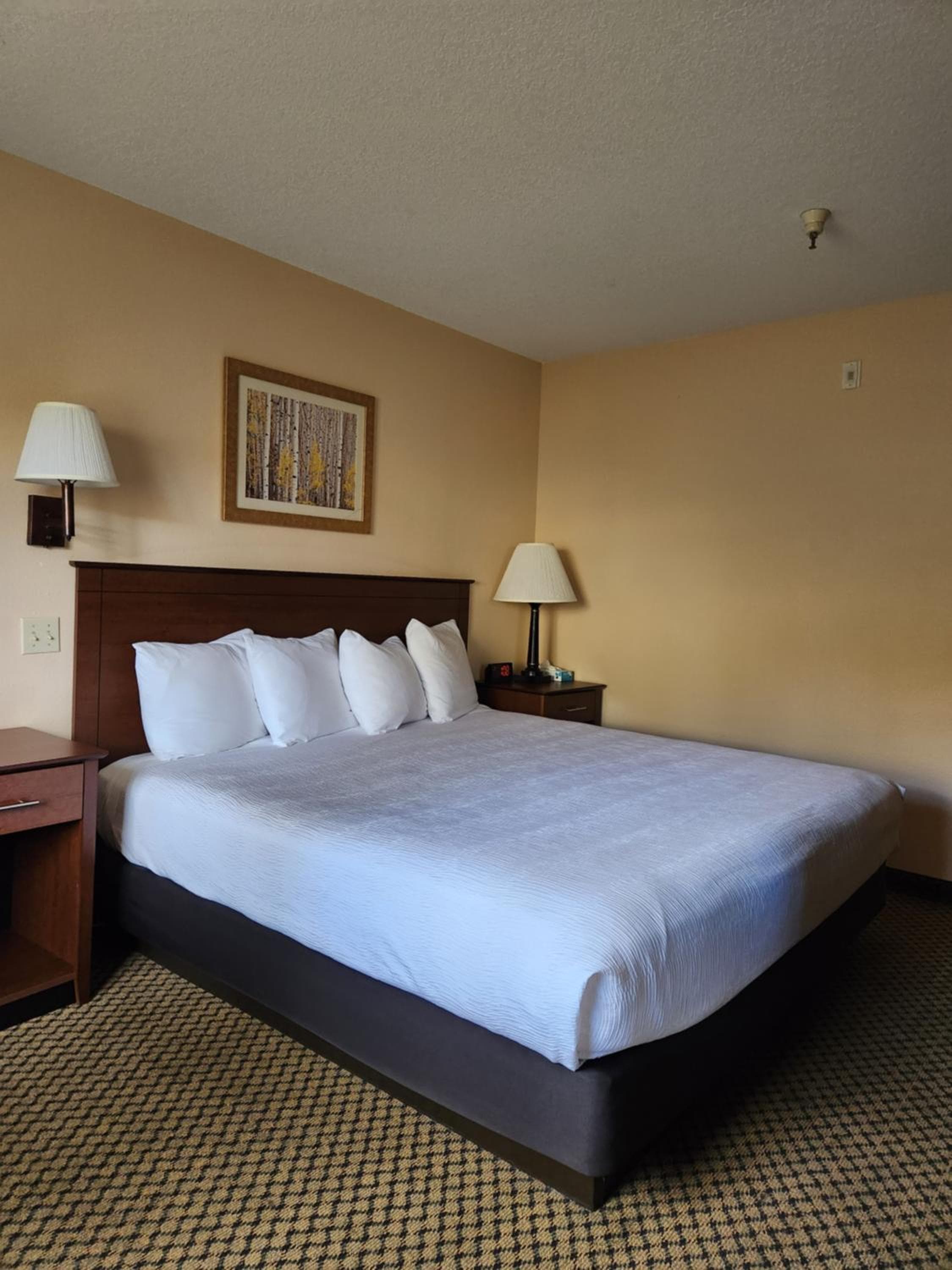 Luxury Inn & Suites