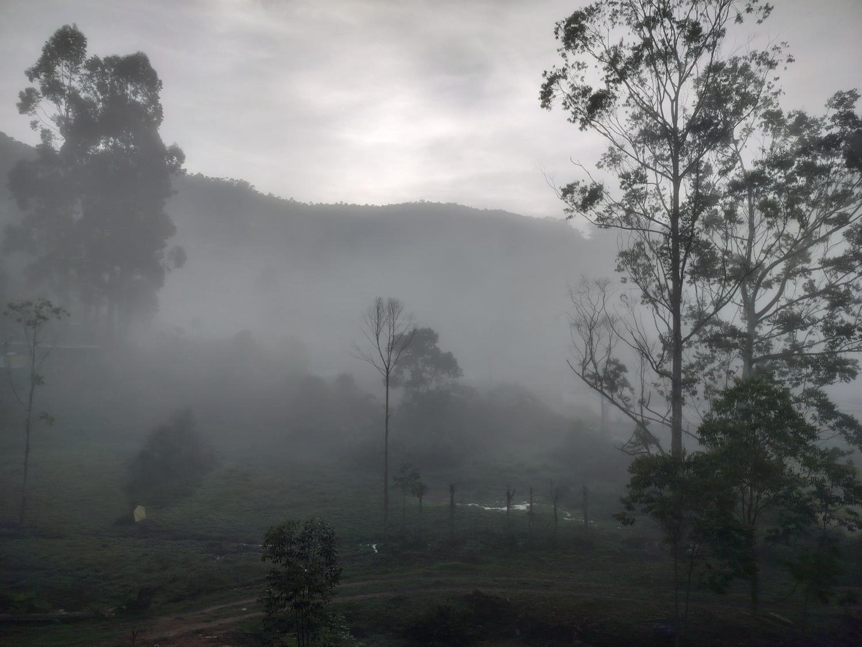 Sunrise Vista