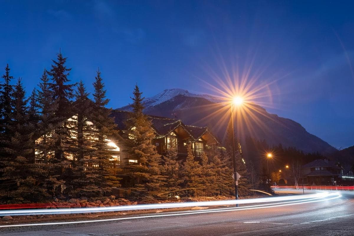A Bear and Bison Country Inn