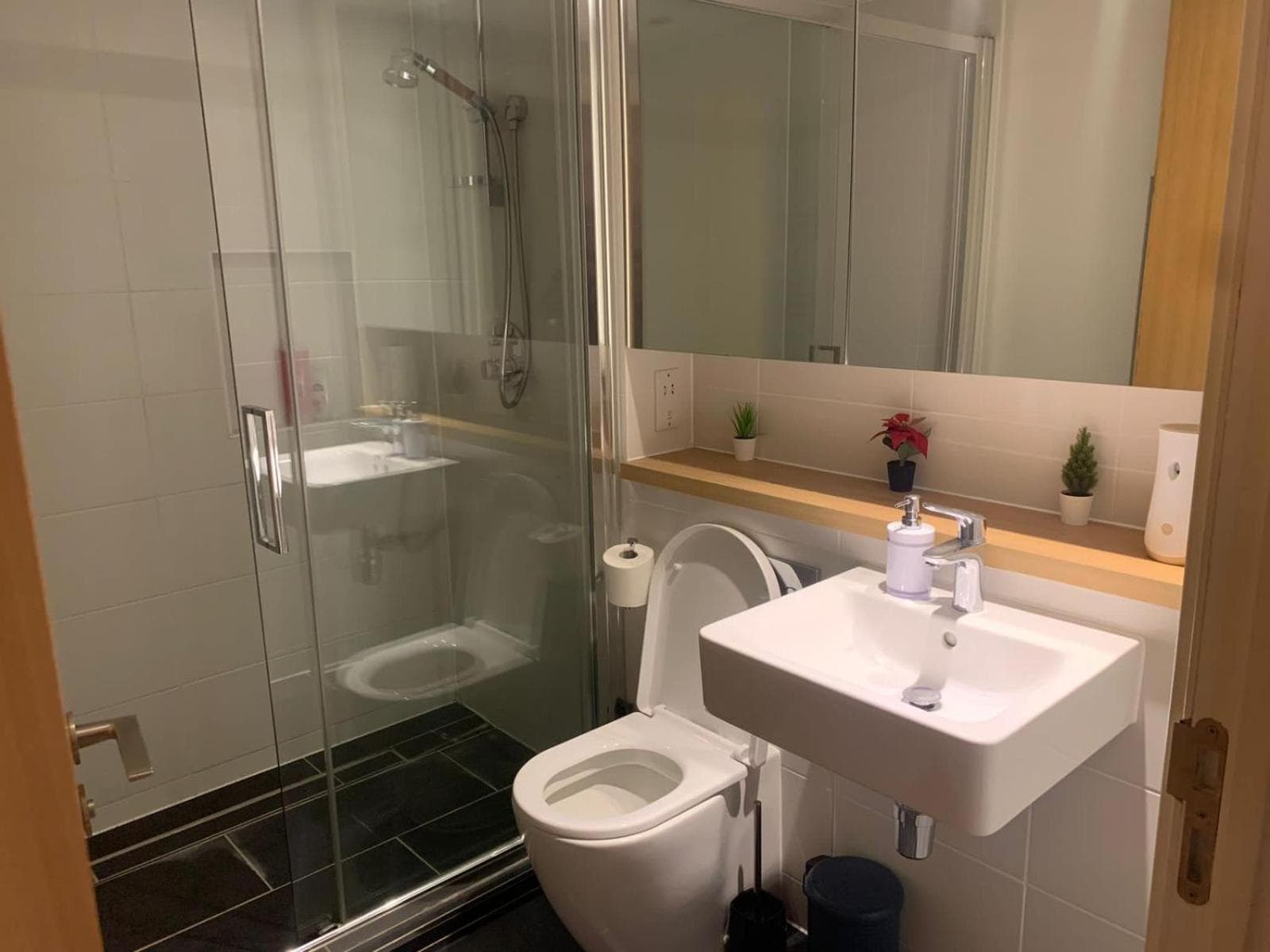 Luxury Flat Town Centre