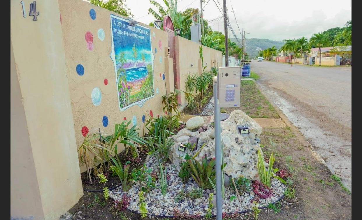 A taste of Jamaica Lavern’s Place