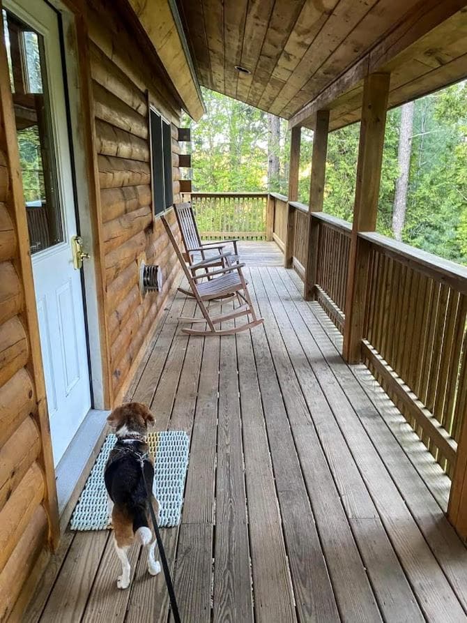 Log Cabin on Saltwater Cove