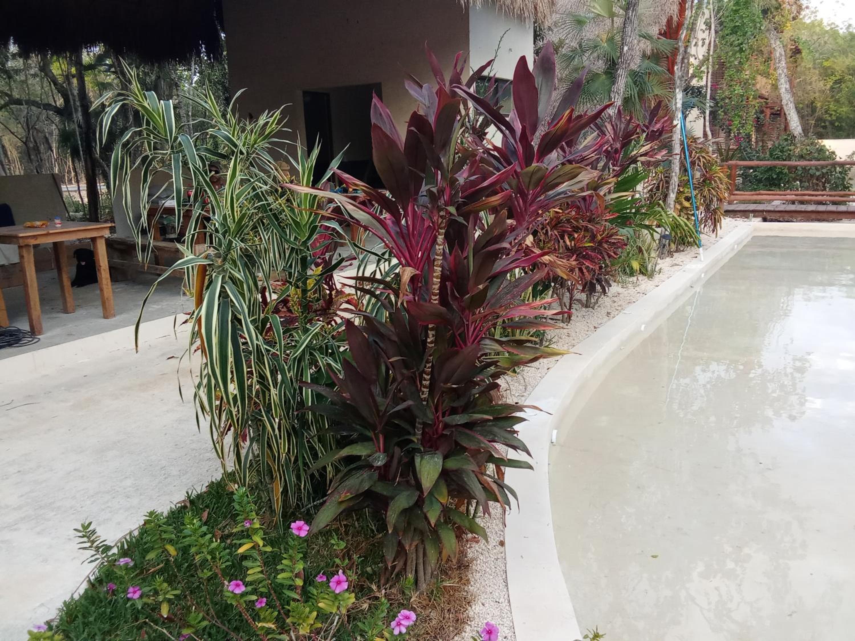 Villas AHAL,