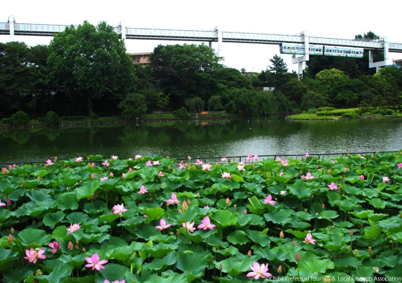 APA Hotel Chiba Ekimae