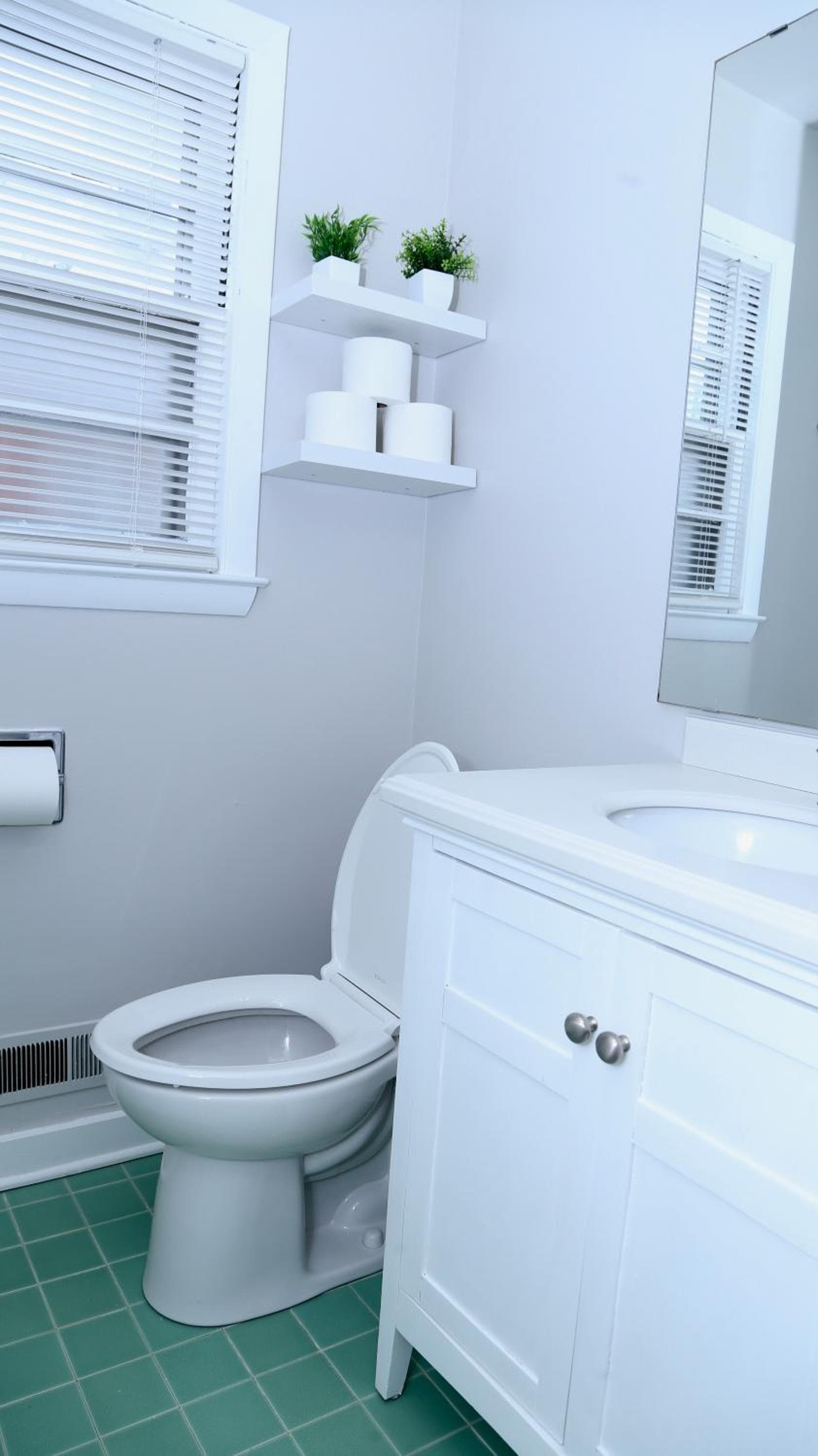 Inviting 2BR Lower Duplex Near Everything