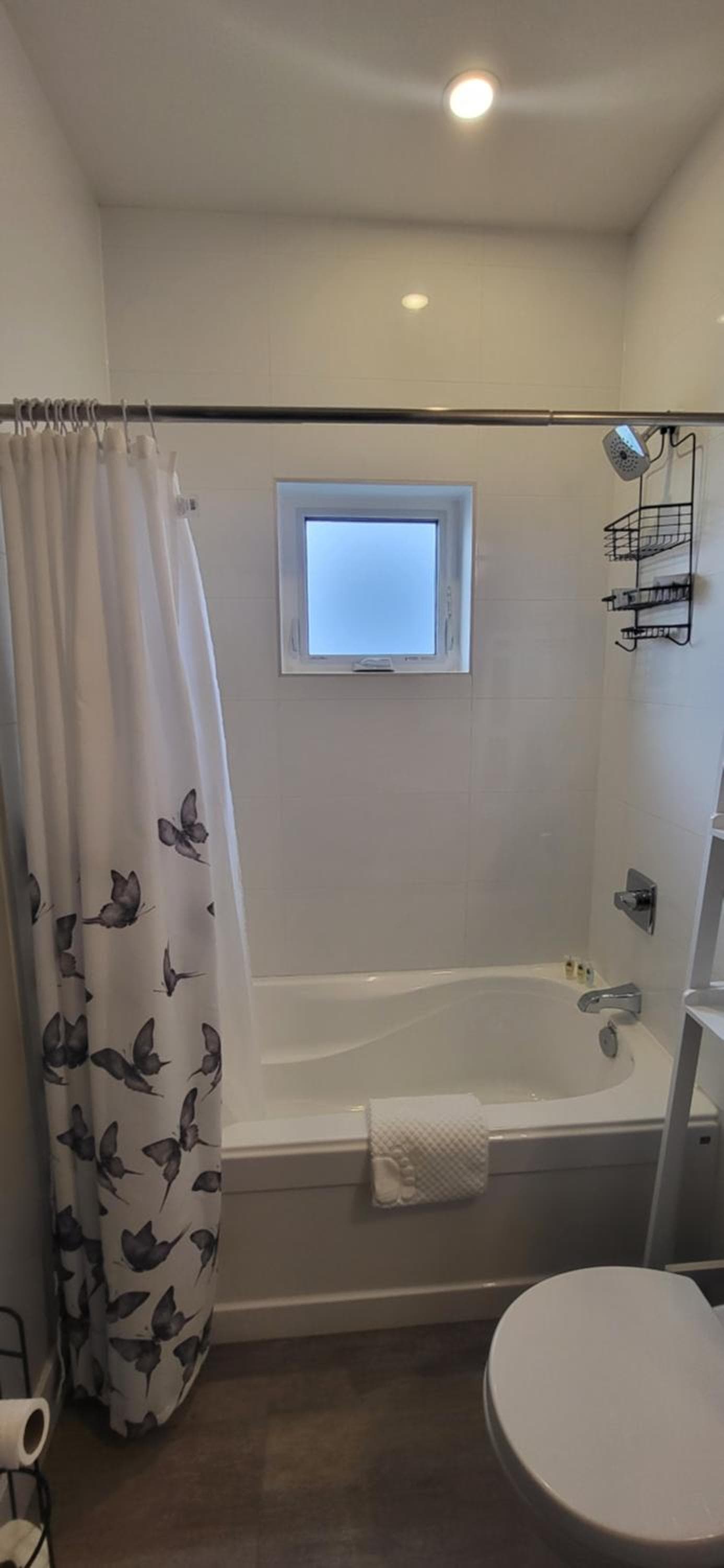 Two Bedroom Suite with AC, Sleeps 8! Complimentary Snacks & Drinks