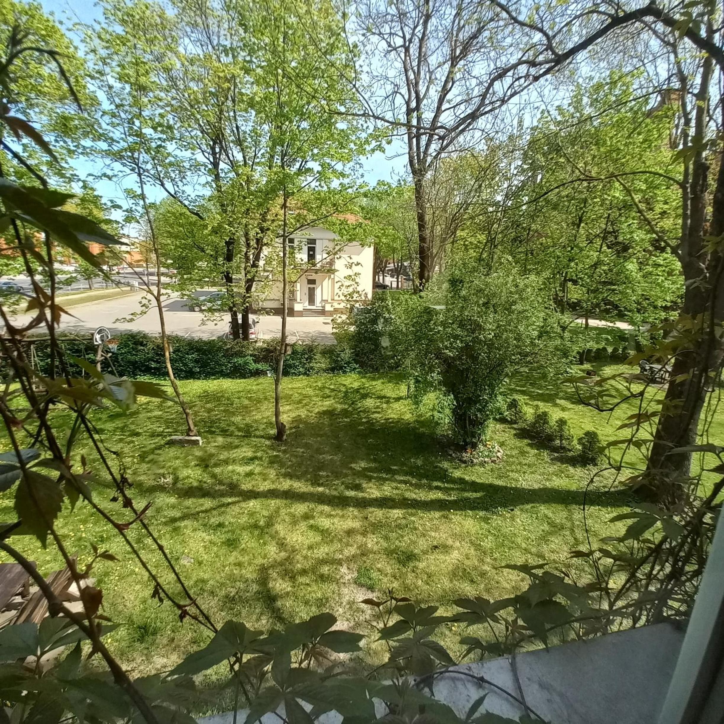 Apartment Under the Maple