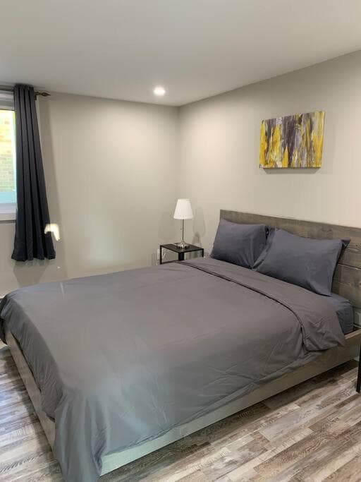 ENTIRE 1 BEDROOM APARTMENT DOWNTOWN - u5