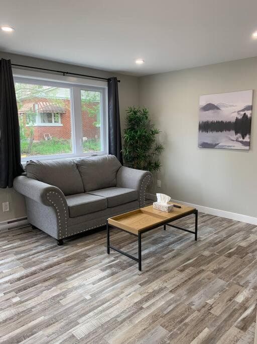 ENTIRE 1 BEDROOM APARTMENT DOWNTOWN - u4