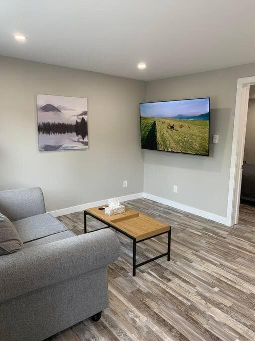 ENTIRE 1 BEDROOM APARTMENT DOWNTOWN - u4