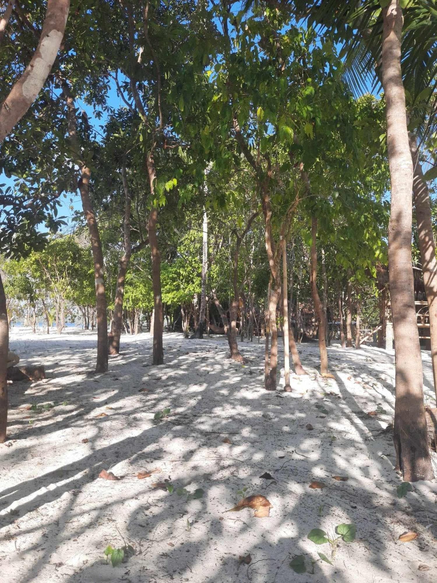 Dos Playa EcoCamp Daracoton Island