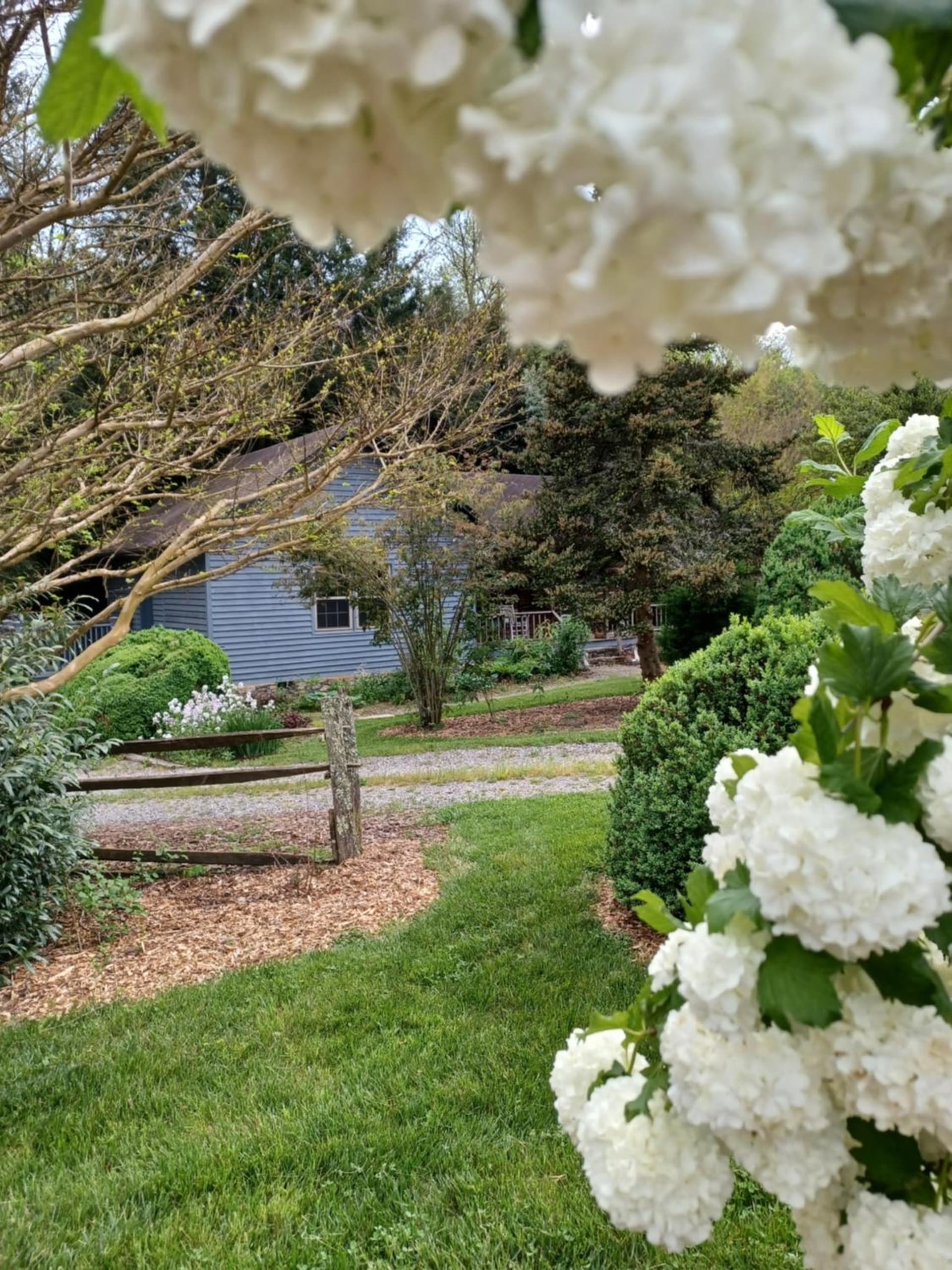 Restored1850s log cabin, with gazebo and gardens! 1 mile to downtown Weaverville