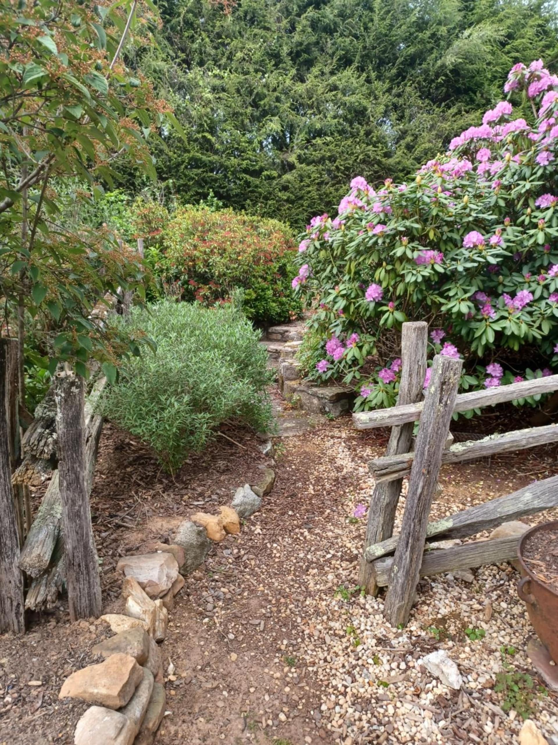 Restored1850s log cabin, with gazebo and gardens! 1 mile to downtown Weaverville