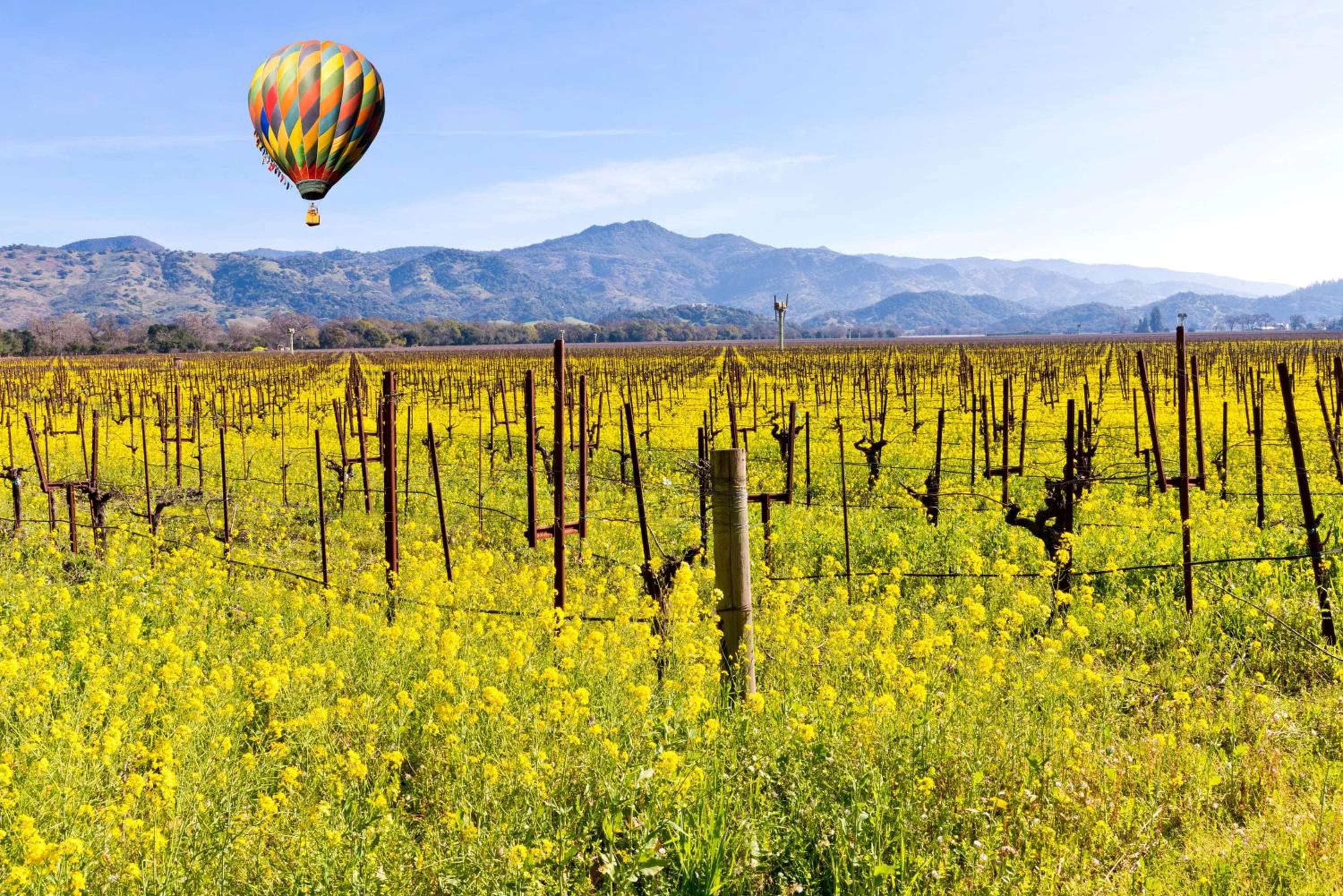 The Meritage Resort and Spa