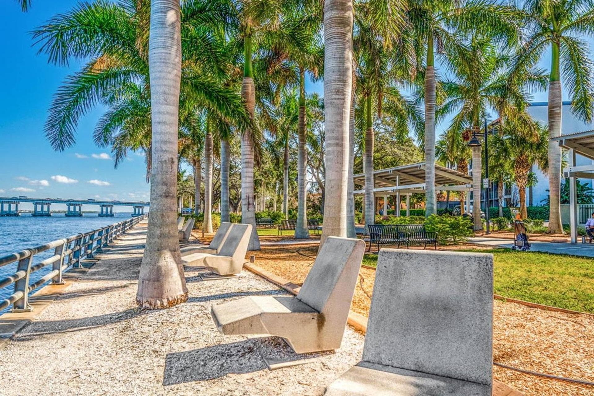 Palm Tree Paradise