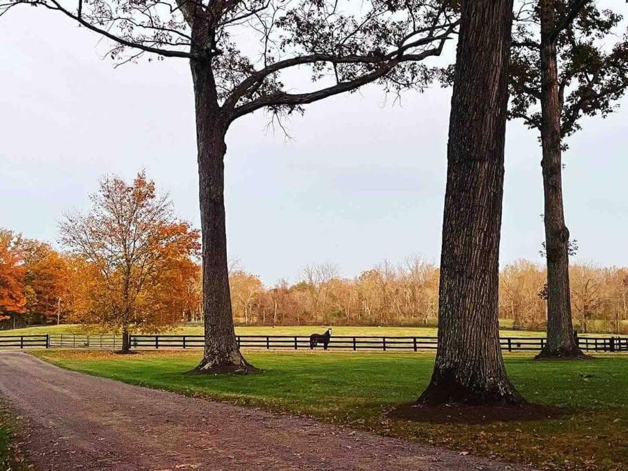 Historic Middleburg Equestrian Estate