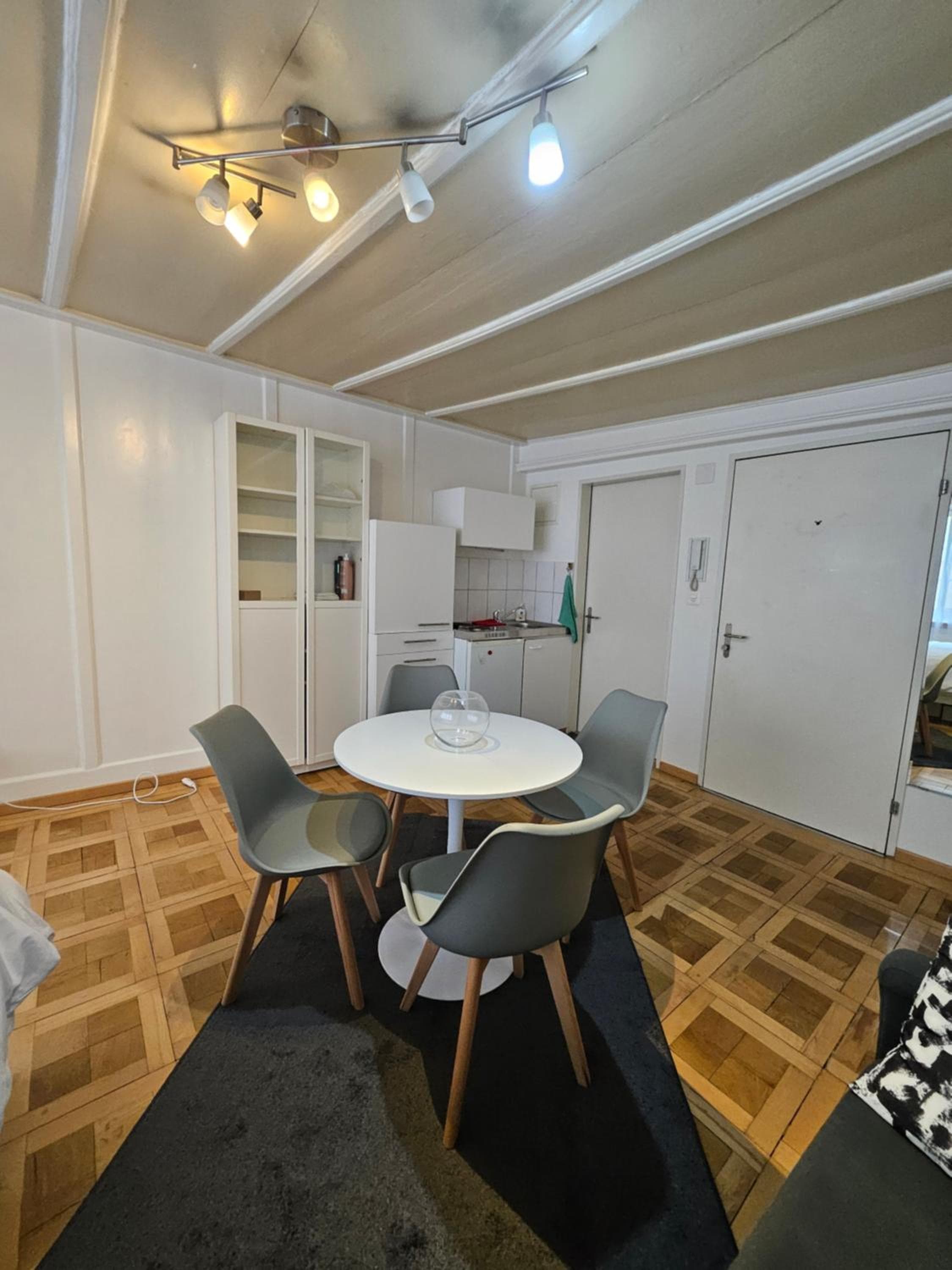 City Center Apt With AC in Zurich Old Town