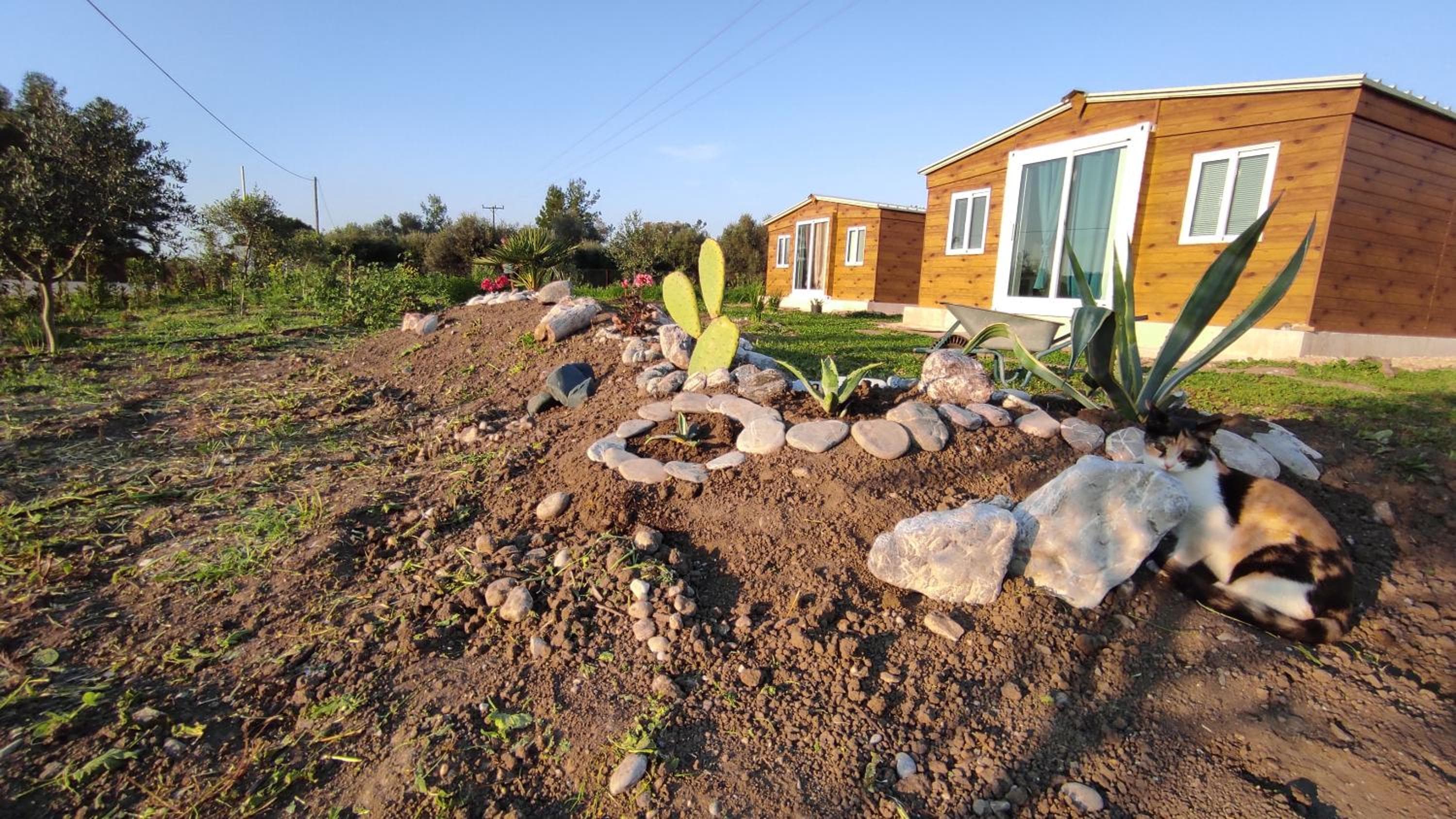 Mountain View Bungalows Dimilia