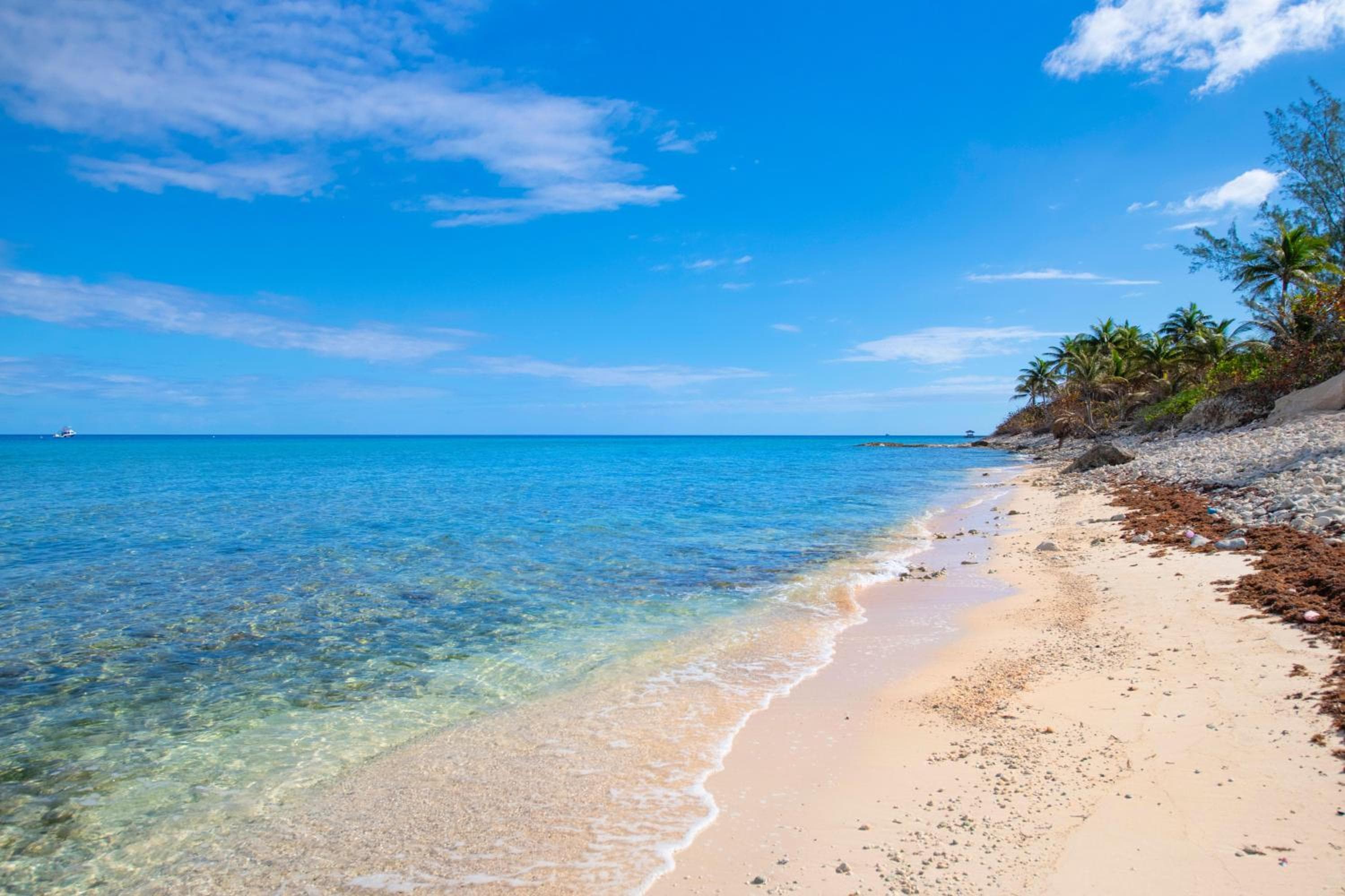 Silver Reef #4 - 2 BR LUXE Oceanfront & Pool