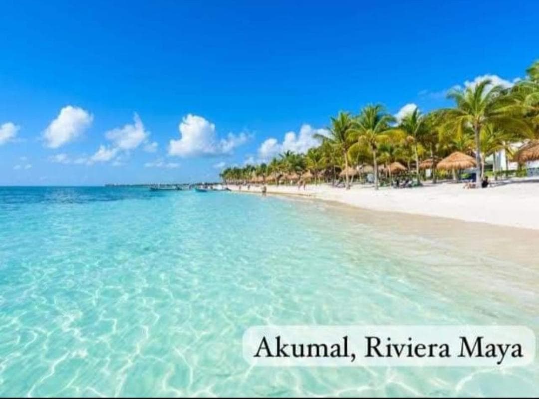 El Ultimo Maya