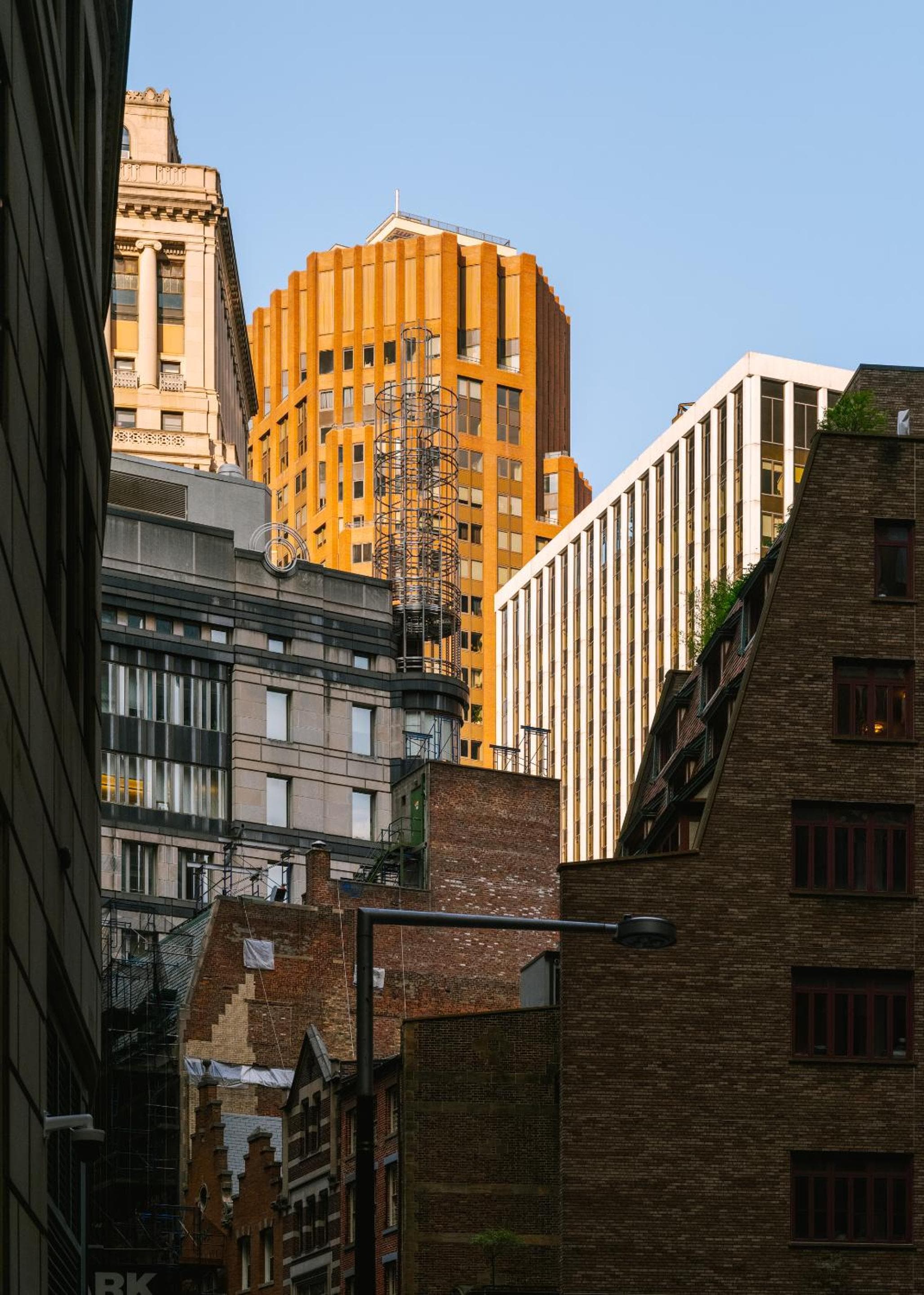 Nester Finn Financial District