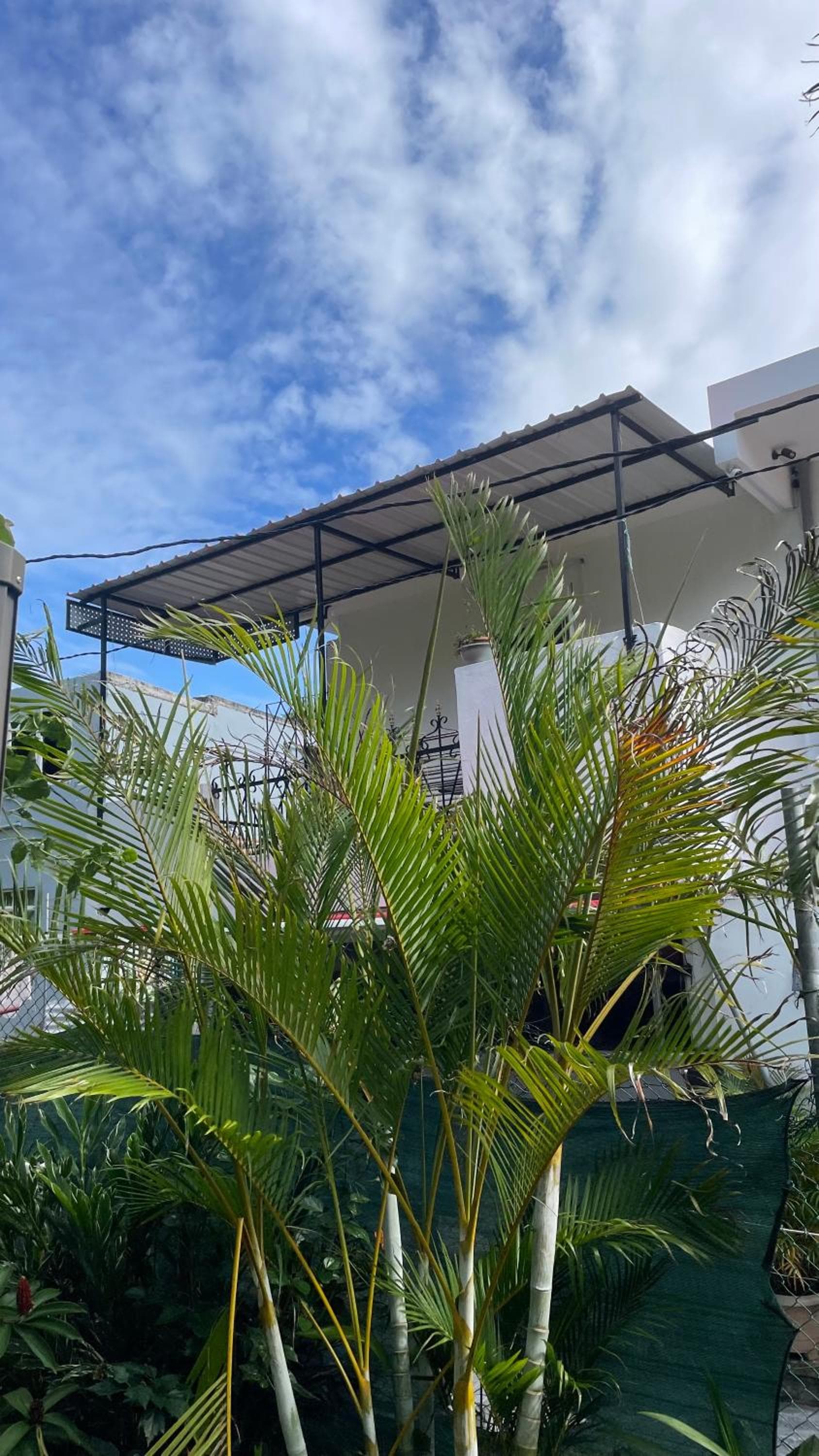 Casa LeValois - Hidden Garden Oasis in Port-Louis