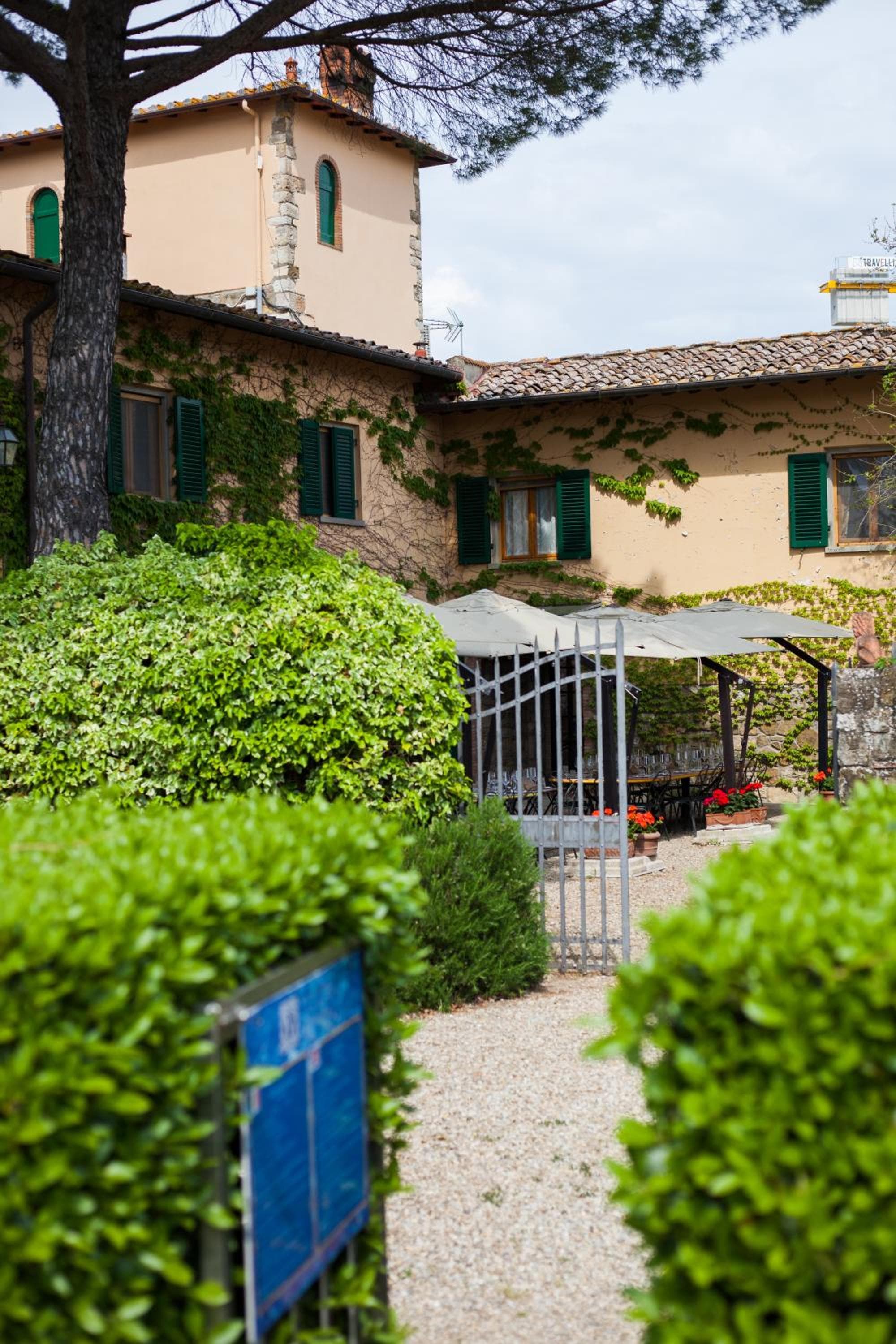 Viticcio