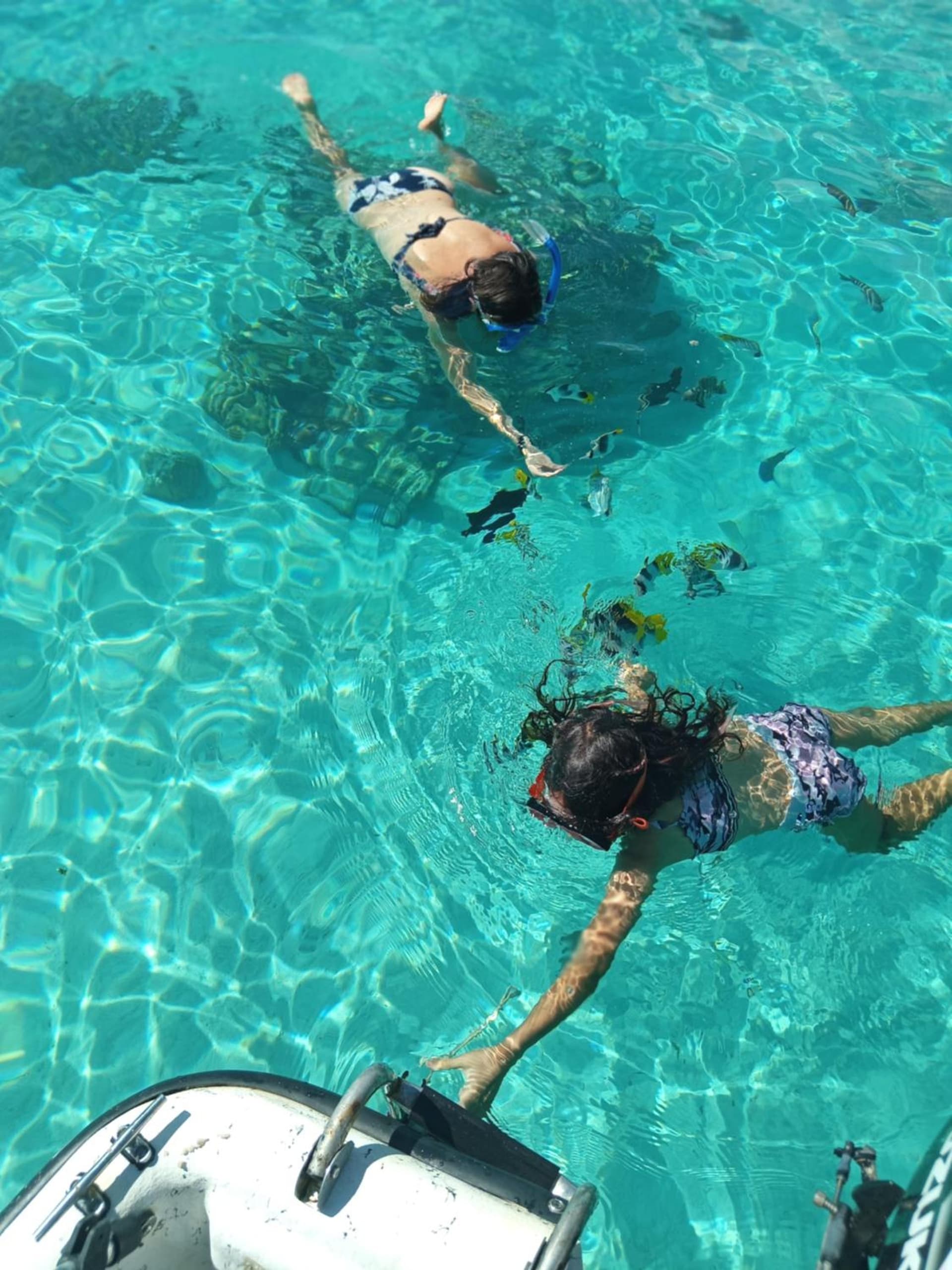 Faré Paloma Moorea