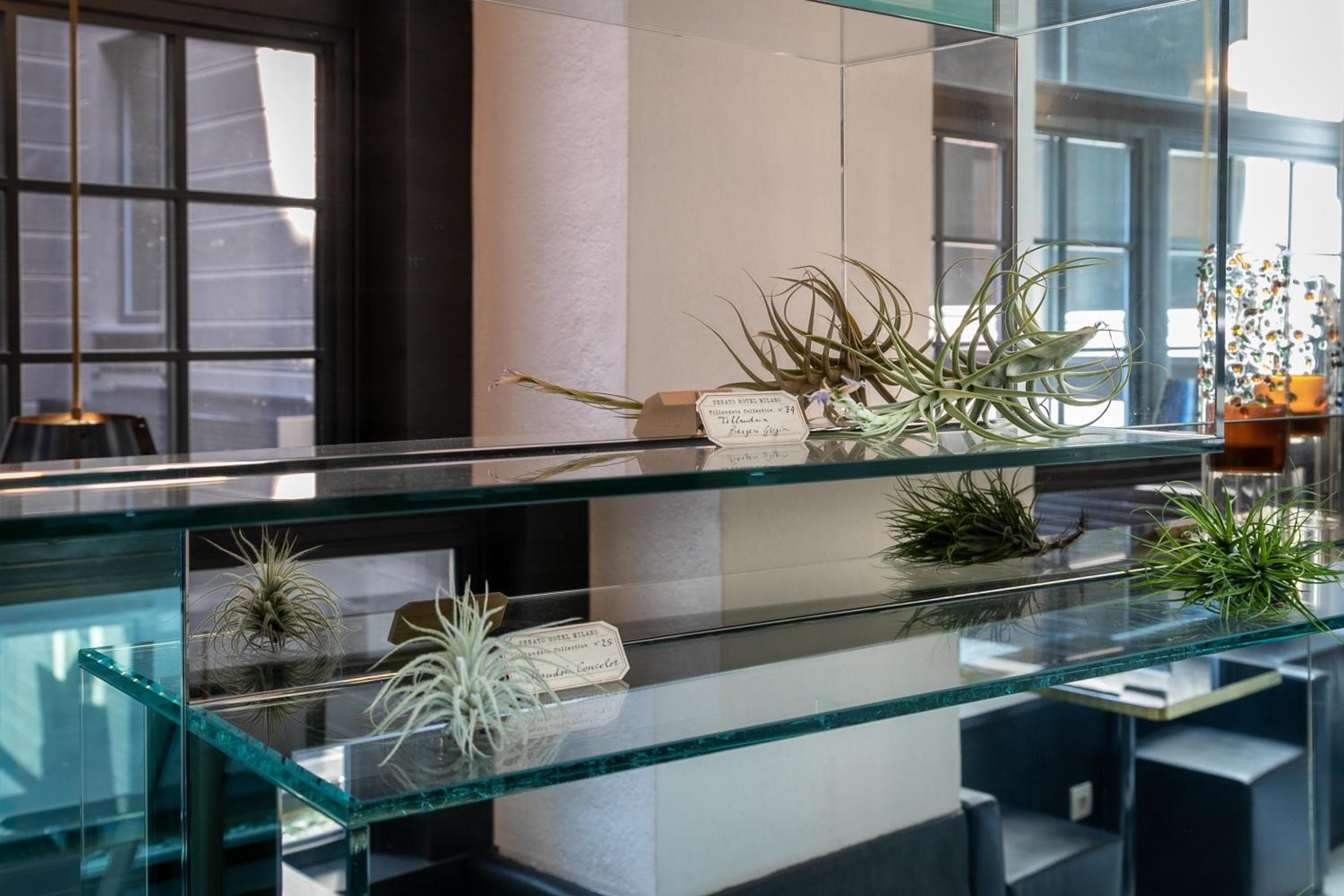 Senato Hotel Milano