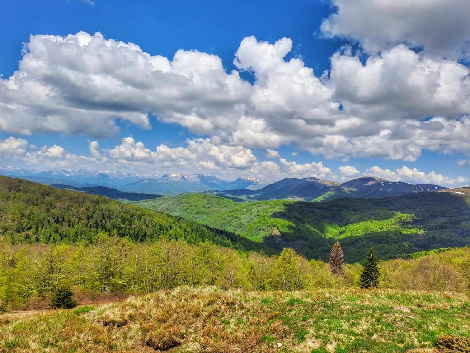 Eko katun Staro katunište