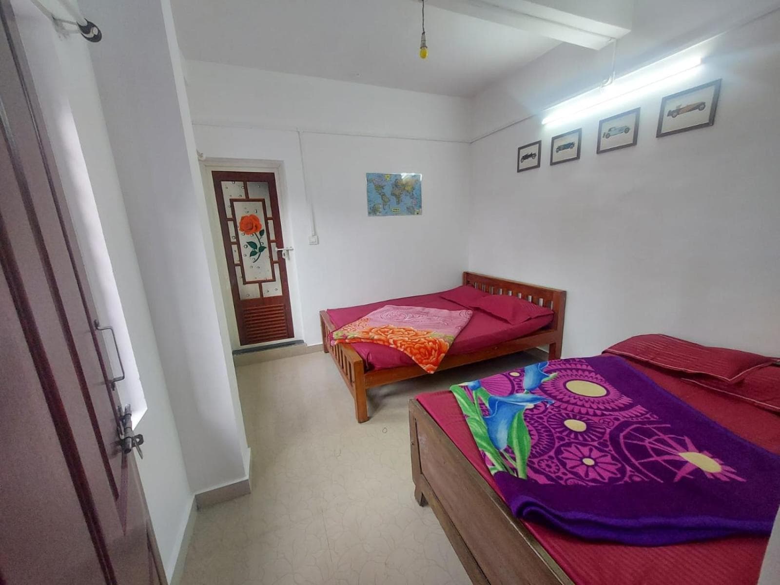 Home Stay Green pepper