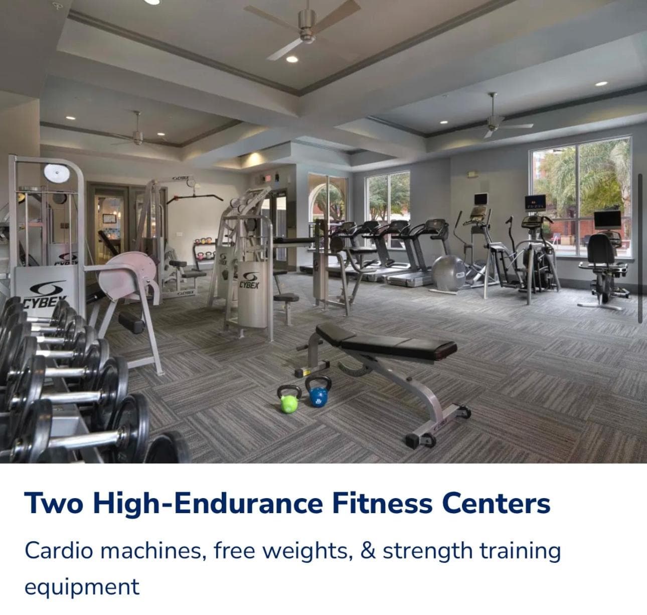 activities & amenities