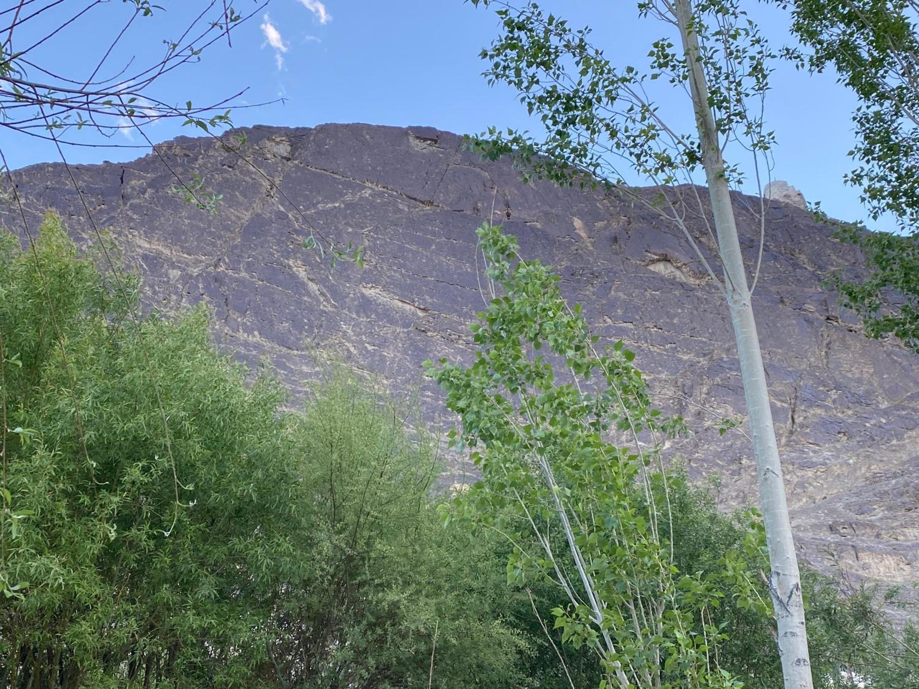 Wachan Guest House -Hunder Nubra valley