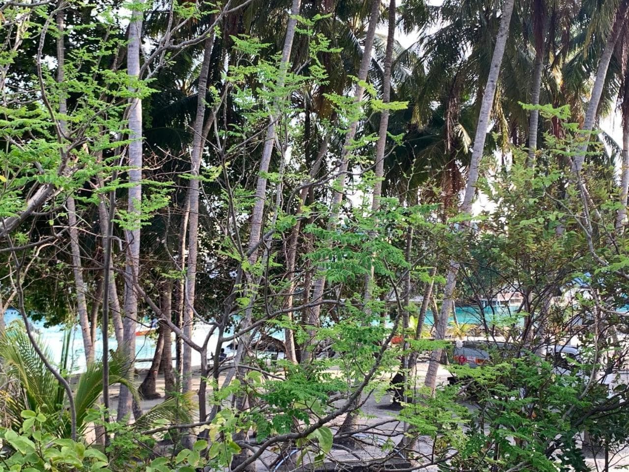 Seabreeze View - Huraa Island