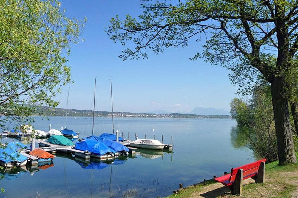 Schöne grosszügige 4,5-Zimmer Wohnung Nähe Sempachsee