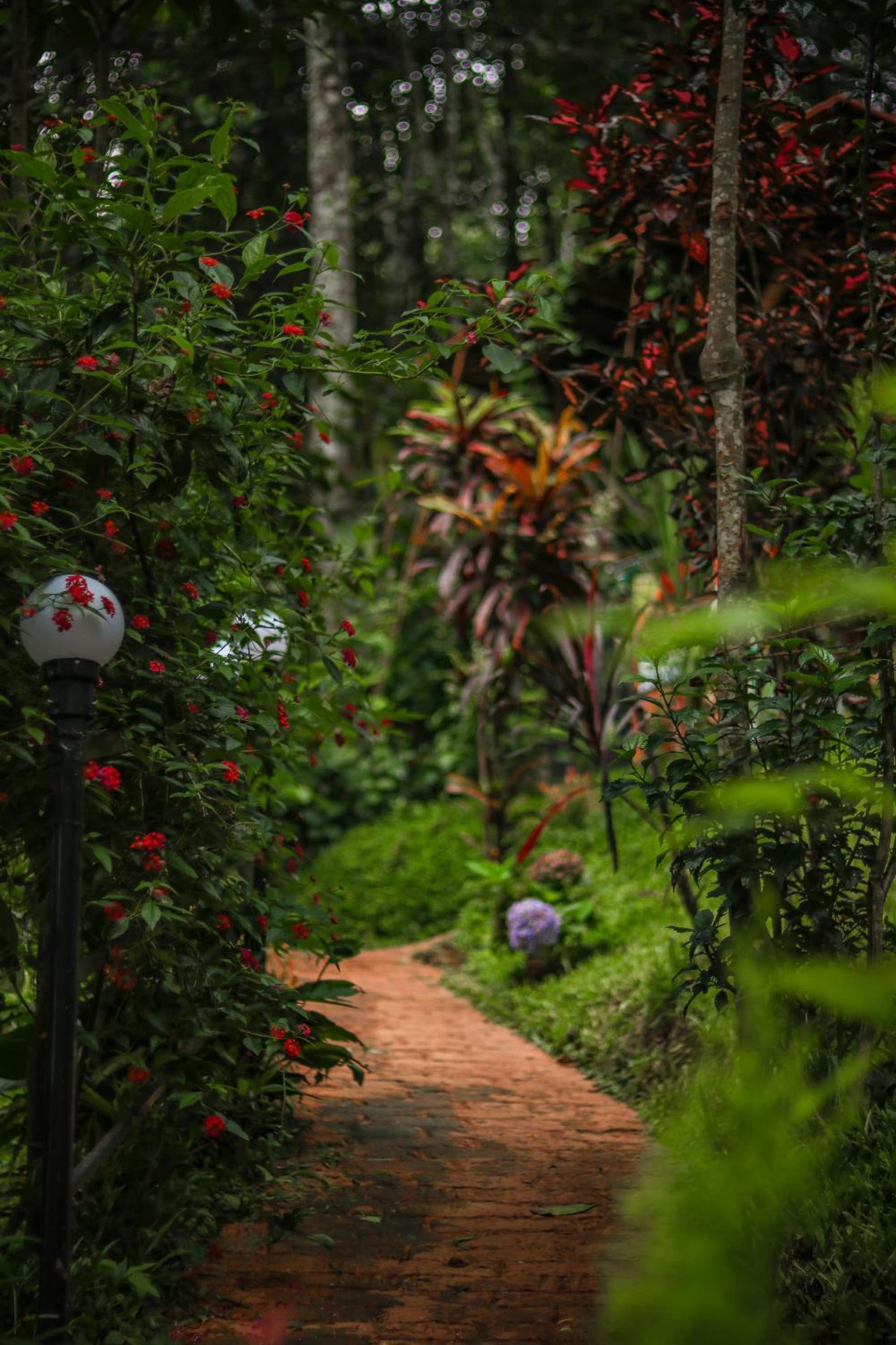 Edens Munnar
