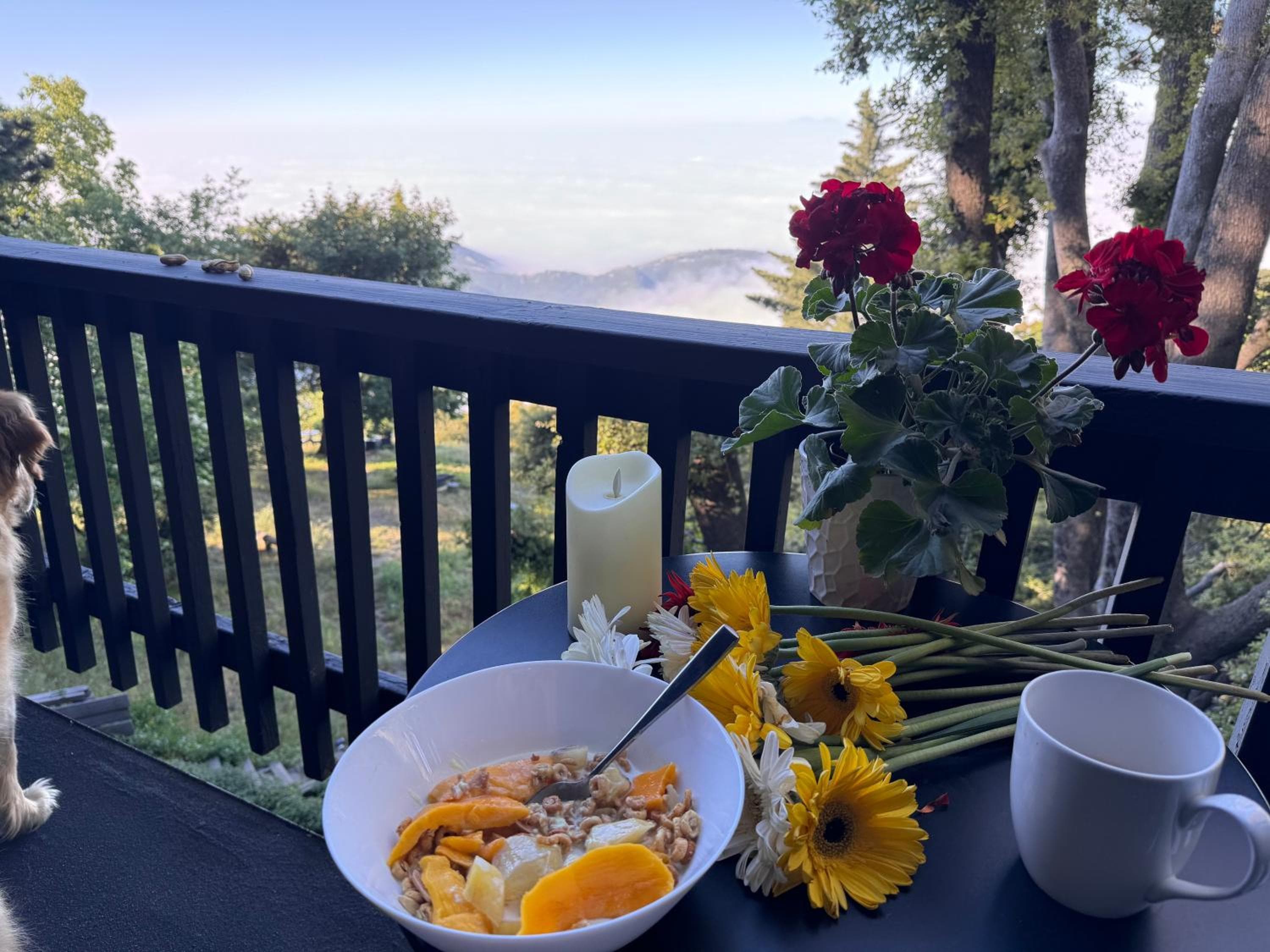 100 Mile View-Fire Pit, Romantic, Peaceful, Private