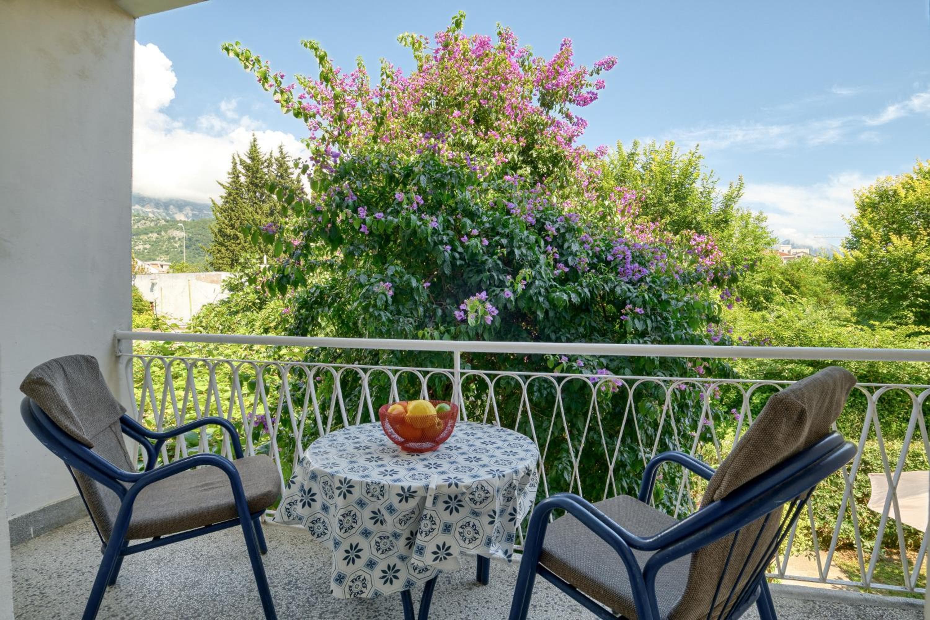 Apartments Elena