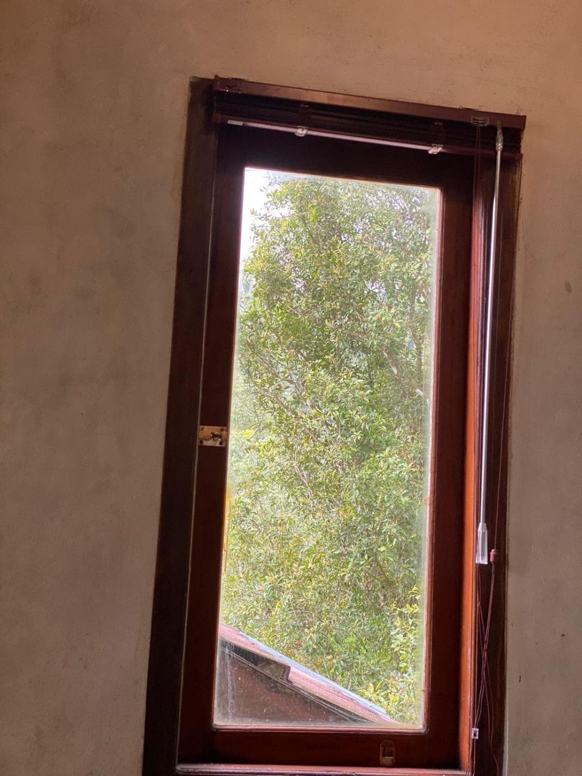Uma d'Nyuh Homestay