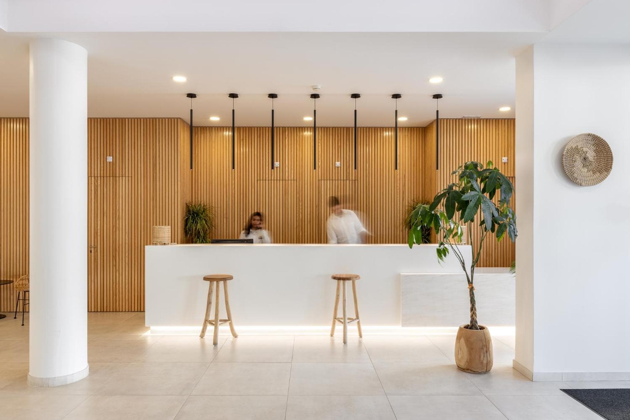 recepcion & lobby