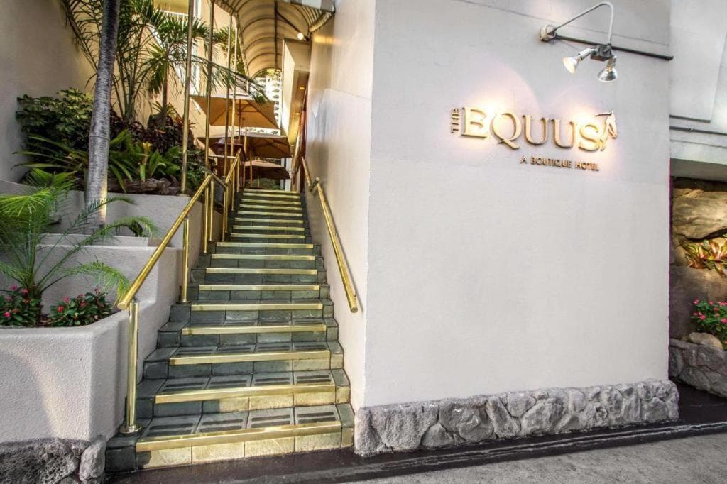 The Equus